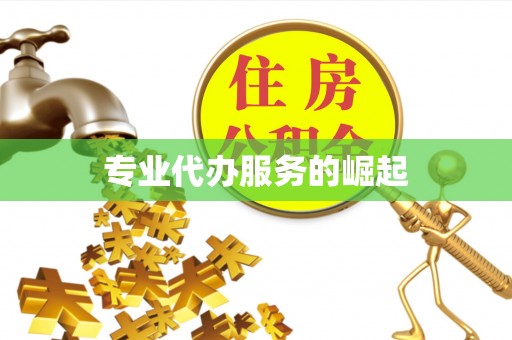 文昌专业代办服务的崛起