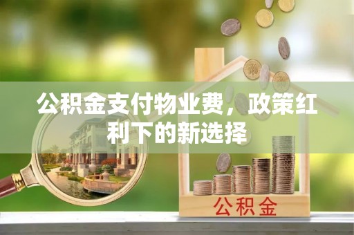 文昌公积金支付物业费，政策红利下的新选择