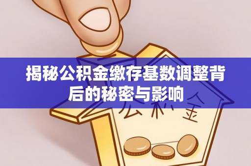 文昌揭秘公积金缴存基数调整背后的秘密与影响