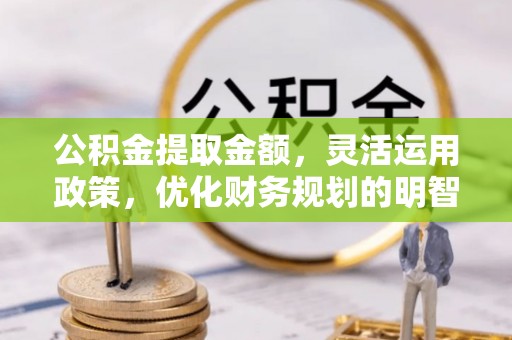 文昌公积金提取金额，灵活运用政策，优化财务规划的明智选择