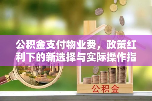 文昌公积金支付物业费，政策红利下的新选择与实际操作指南