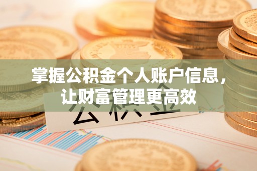 文昌掌握公积金个人账户信息，让财富管理更高效