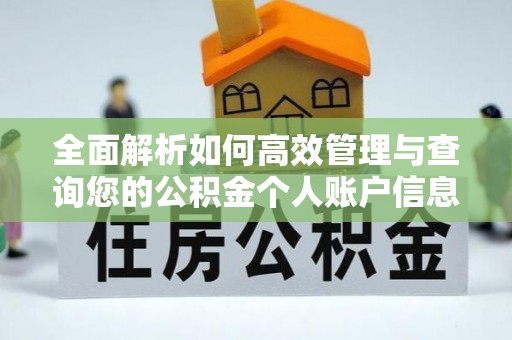 文昌全面解析如何高效管理与查询您的公积金个人账户信息
