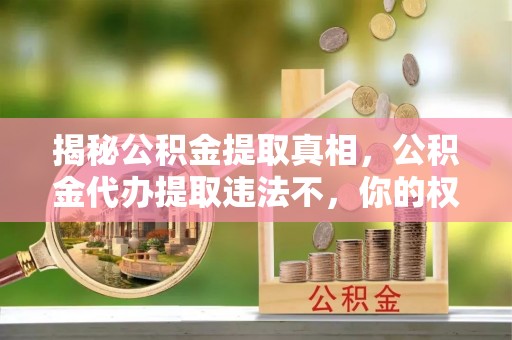 文昌揭秘公积金提取真相，公积金代办提取违法不，你的权益如何保障？