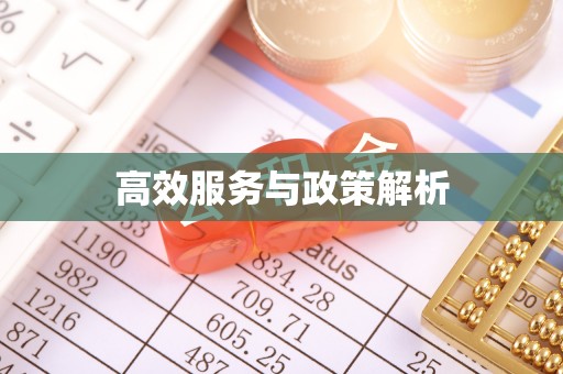 文昌高效服务与政策解析