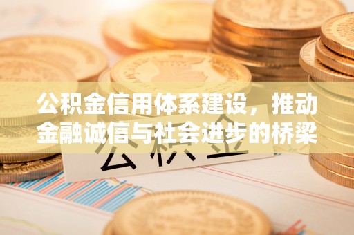 文昌公积金信用体系建设，推动金融诚信与社会进步的桥梁