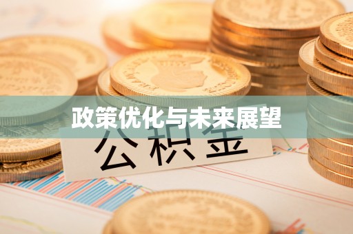 文昌政策优化与未来展望
