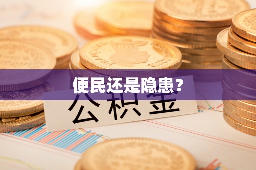 文昌便民还是隐患？