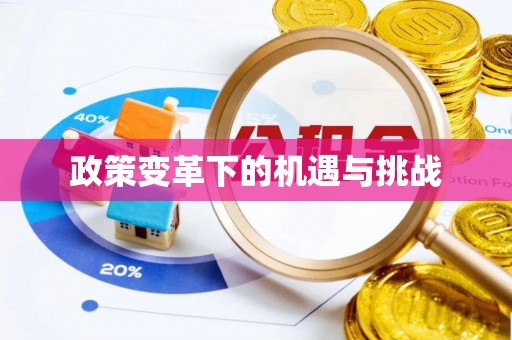 文昌政策变革下的机遇与挑战