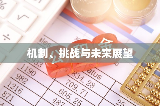 文昌机制、挑战与未来展望
